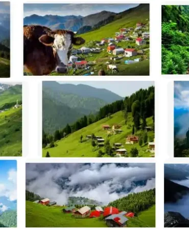 Rize'nin Yaylalar