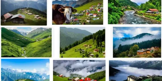 Rize'nin Yaylalar
