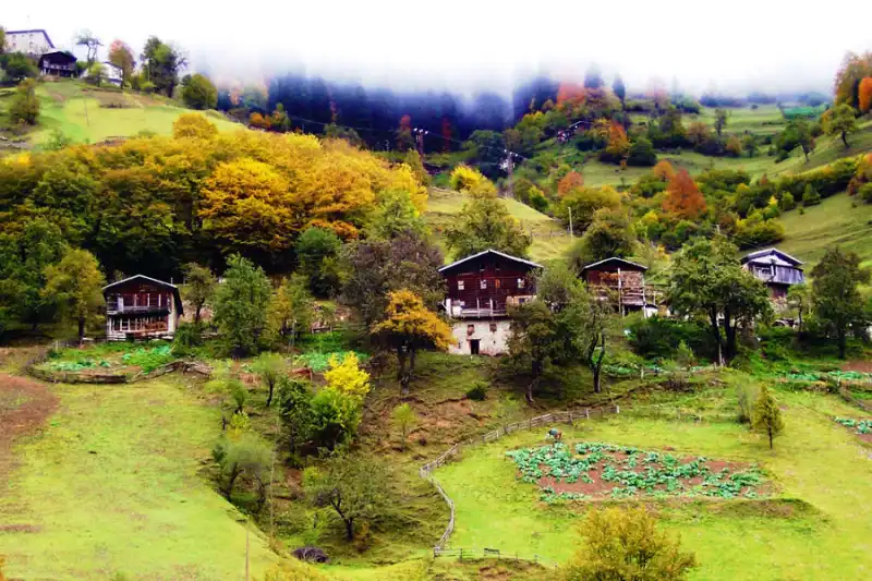 Mahura Yaylası