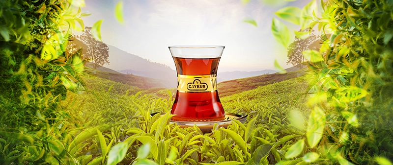 Rize Çayı