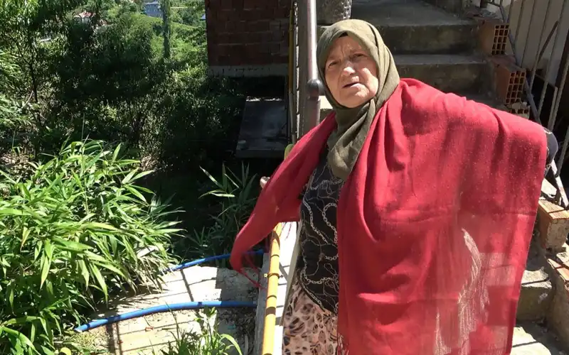 Derepazarı'nda Tarihi Kamışlar Artık Tehlike Saçıyor