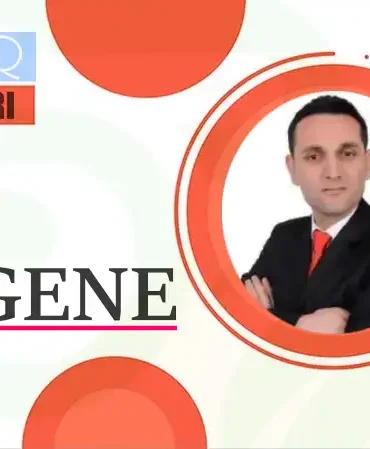 Sener-MENGENE-Kose-Yazisi