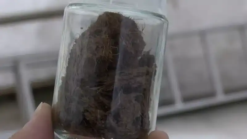 ÇAYKUR’dan Yerli “Çaykopit”