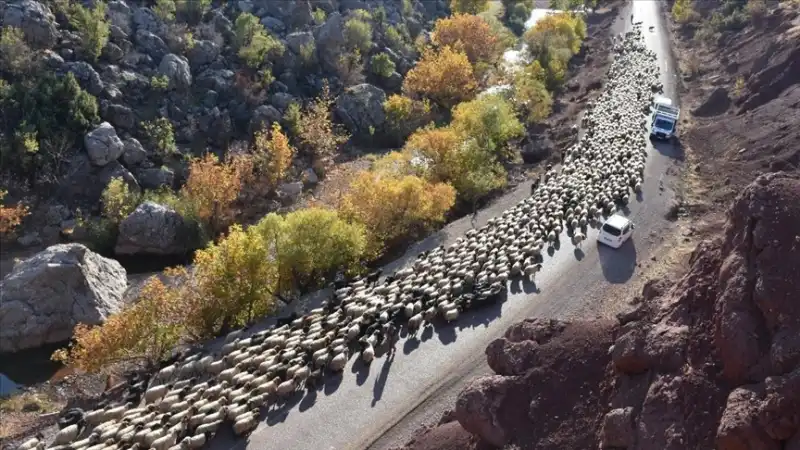 Rize'de Kışlaklara Dönün Çağrısı