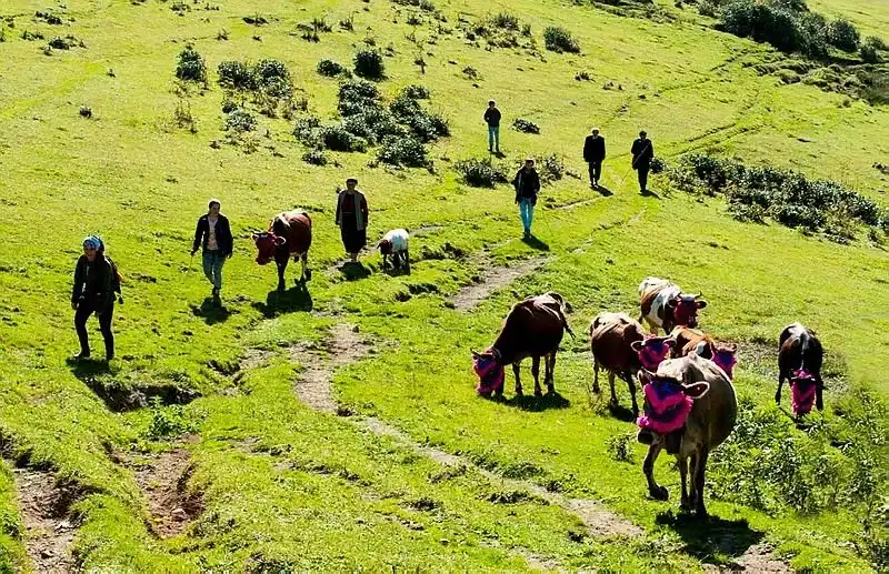 Rize'de Kışlaklara Dönün Çağrısı