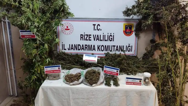 Çayeli'de Uyuşturucu Operasyonu