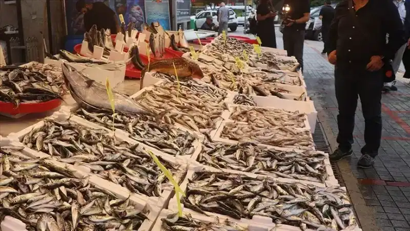 Rize’de Hamsi Bolluğu Tezgâhlar Coştu