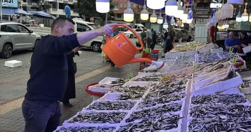 Rize’de Hamsi Vatandaşı Güldürüyor