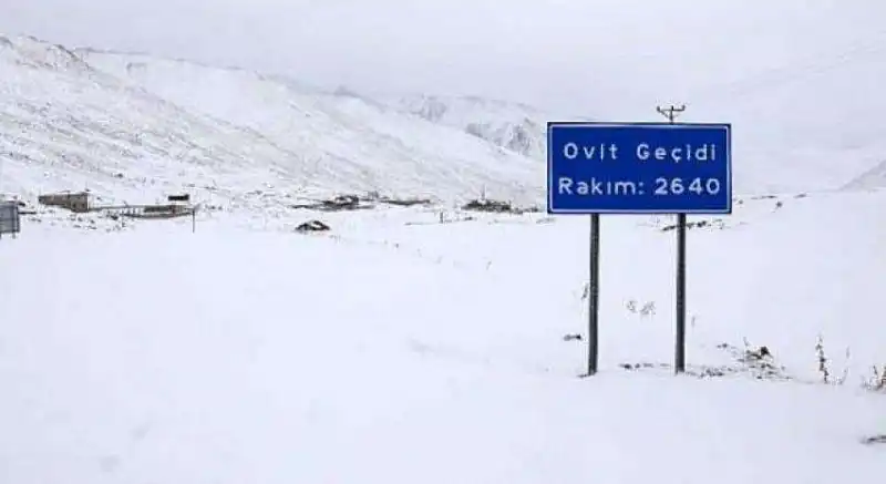 17675101131545181914