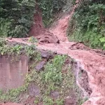 Ardeşen'de Heyelan Korkuttu
