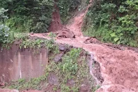 Ardeşen'de Heyelan Korkuttu