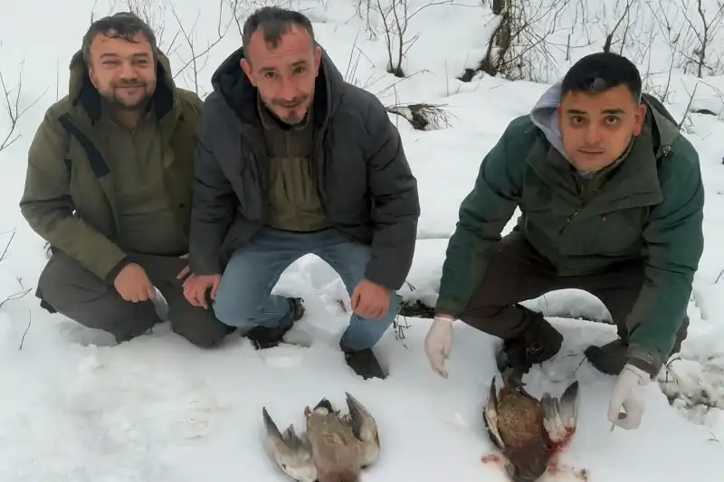 Rize’de Kaçak Avcılığa Geçit Yok