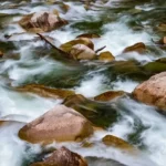 Cimil Vadisi Doğaseverlerin İlgisini Çekiyor