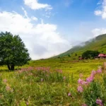 Cimil Vadisi Doğaseverlerin İlgisini Çekiyor