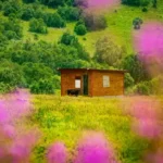 Cimil Vadisi Doğaseverlerin İlgisini Çekiyor