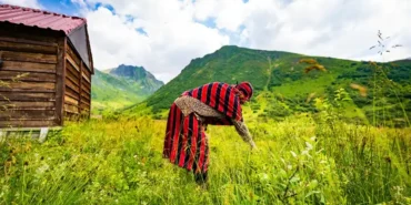 Cimil Vadisi Doğaseverlerin İlgisini Çekiyor