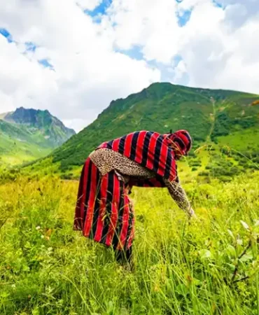 Cimil Vadisi Doğaseverlerin İlgisini Çekiyor
