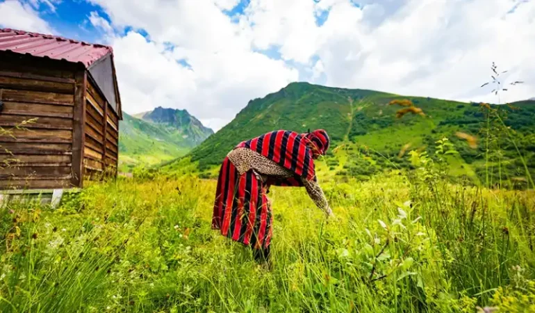 Cimil Vadisi Doğaseverlerin İlgisini Çekiyor