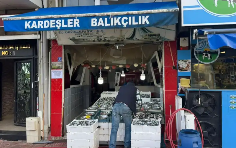 Pazar’da Taze Hamsi Hasreti Sona Erdi