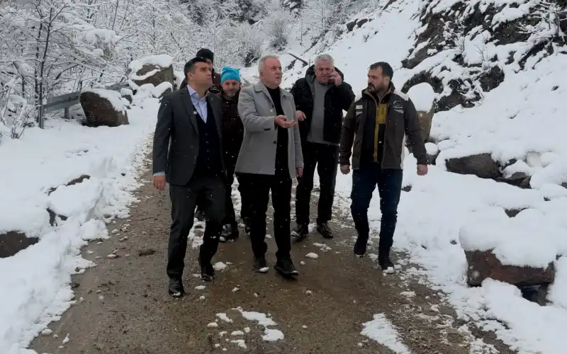 17706237921121544841