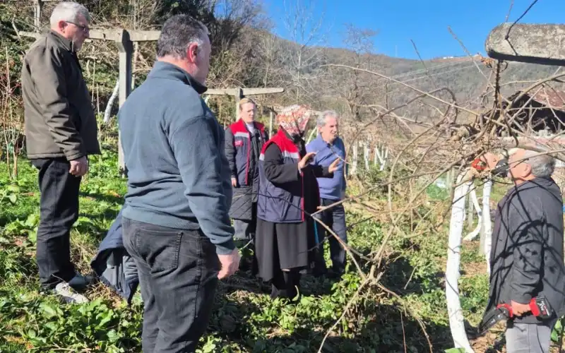 Rize’de Üreticilere Uygulamalı Kış Budaması Eğitimi