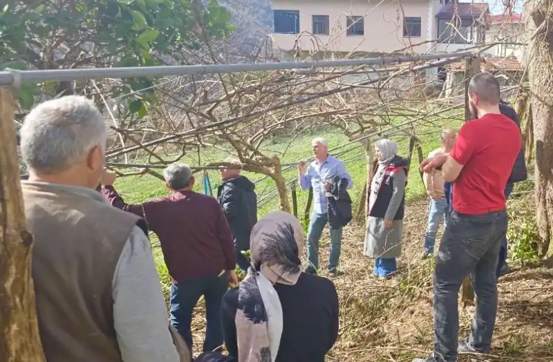 Rize’de Üreticilere Uygulamalı Kış Budaması Eğitimi