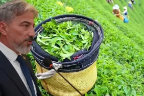 Mustafa Durmuş: “Çayda Prim Sistemine Geri Dönülmeli”