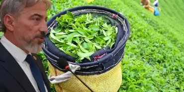 Mustafa Durmuş: “Çayda Prim Sistemine Geri Dönülmeli”