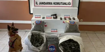 Pazar'da 11 Kilodan Fazla Esrar Ele Geçirildi