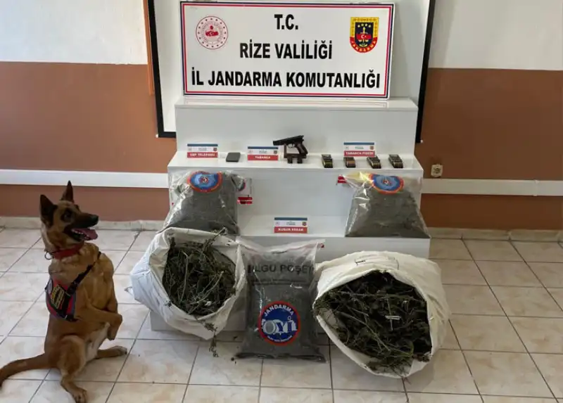 Pazar'da 11 Kilodan Fazla Esrar Ele Geçirildi