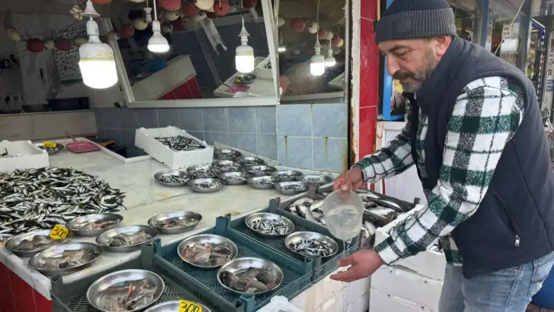 Pazar’da Taze Hamsi Hasreti Sona Erdi - Balıkçı Cengiz Yıldırım