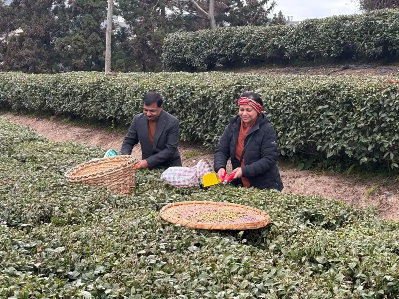 Hindistan’ın Büyükelçisi Muktesh “Günde 7-8 Bardak Çay İçiyorum”