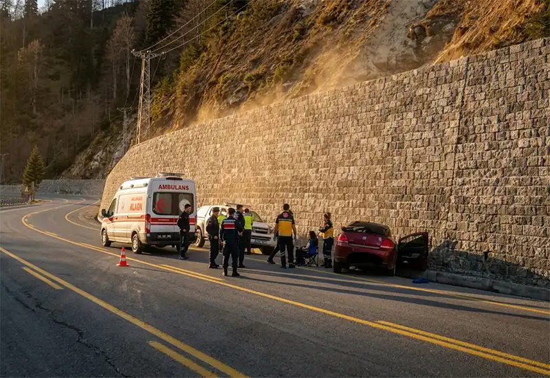 Ayder Yaylası Yolunda Arı Paniği Kazaya Yol Açtı