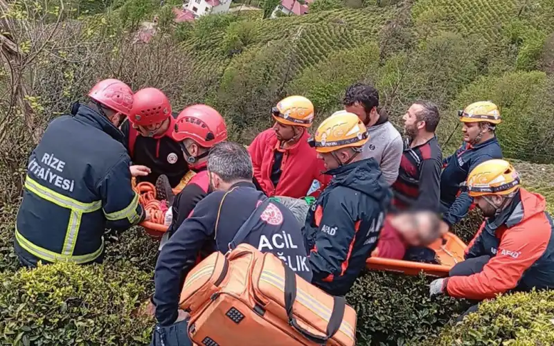 Rize’de Çay Bahçesinde Korkutan Kaza
