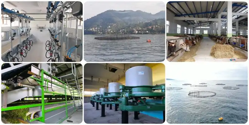 Rize’de Kırsal Kalkınma Destek Programı Başvuruları Başladı