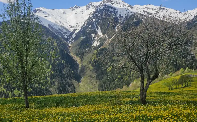 Çamlıhemşin Dağları Baharın renklerine Büründü