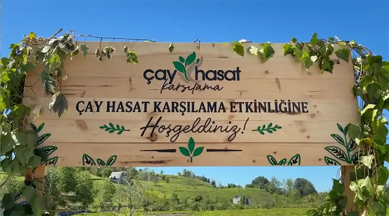 Rize’de Çay Hasat Sezonu Coşkuyla Başladı
