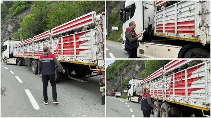 Rize’de Yol Denetimleri Artırıldı