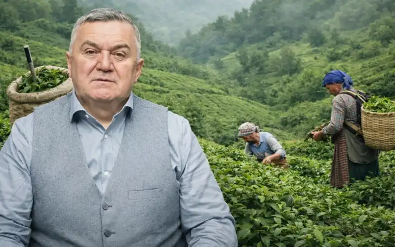 Çay Üreticisi İçin Destekleme Primi Çağrısı