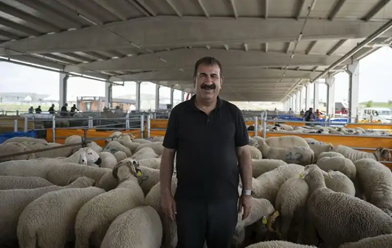 TÜRKYED Genel Başkanı Nihat Çelik, yaklaşan Kurban Bayramı öncesinde hem yetiştiricilerin hem de vatandaşların dikkat etmesi gereken hususlara ilişkin önemli değerlendirmelerde bulundu.