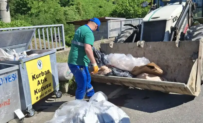 Rize’de Kurban Atıkları Hijyenik Şekilde Toplanıyor