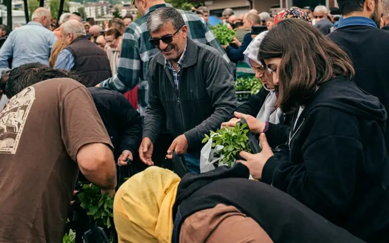 Çayeli’nde ATA Tohumu Fide Dağıtım Yapıldı