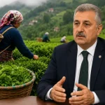 Aksoy’dan Yaş Çay Fiyatı Değerlendirmesi “35 TL Önemli Ama Destekleme Şart”