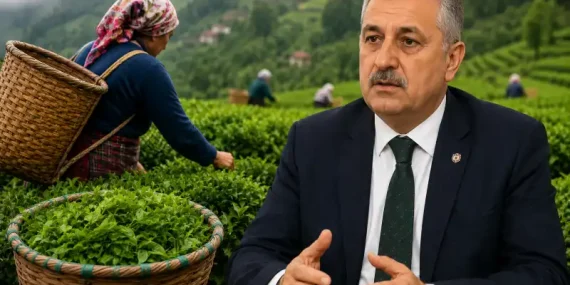 Aksoy’dan Yaş Çay Fiyatı Değerlendirmesi “35 TL Önemli Ama Destekleme Şart”