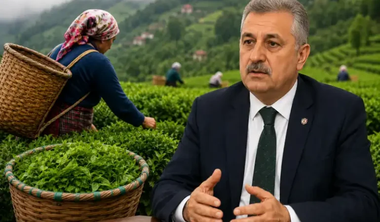 Aksoy’dan Yaş Çay Fiyatı Değerlendirmesi “35 TL Önemli Ama Destekleme Şart”