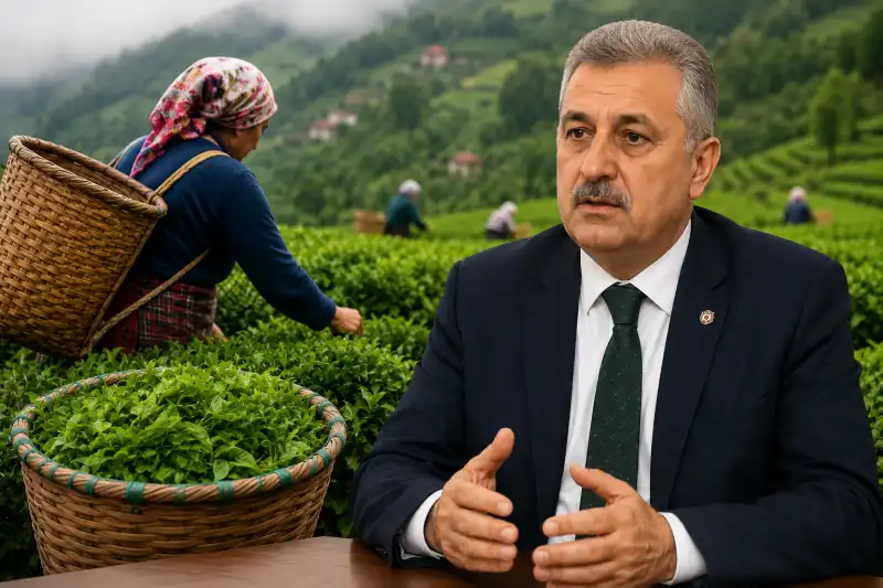 Aksoy’dan Yaş Çay Fiyatı Değerlendirmesi “35 TL Önemli Ama Destekleme Şart”