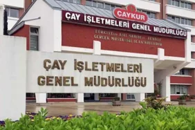 ÇAYKUR