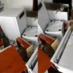 Çamlıhemşin’de Ayılar Muhtarın Evini Talan Etti