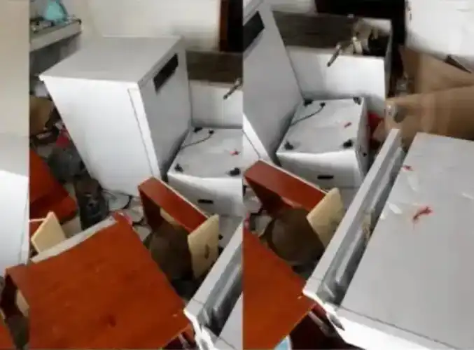 Çamlıhemşin’de Ayılar Muhtarın Evini Talan Etti