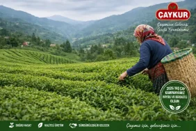 Çaykur 2026 Yaş Çay Sezonu Açıldı